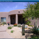 Desert Landscaping