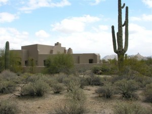 Magnificent Saguaro