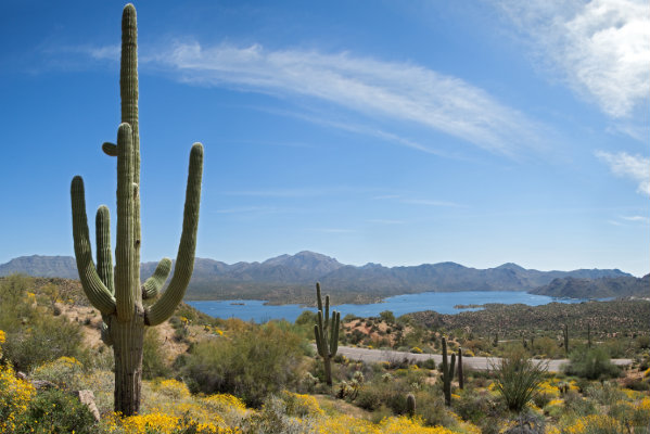 Saguaro_&_Lake 600x400