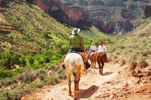 Tourists_on_Horseback 600x400